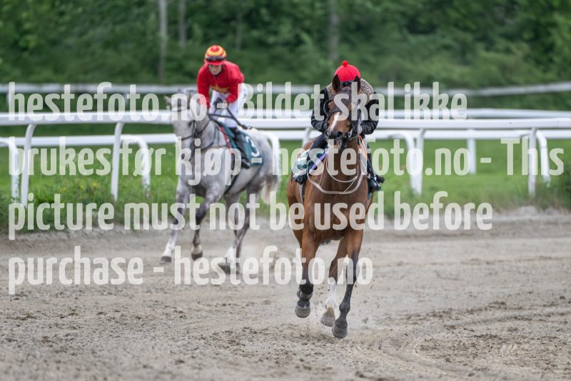20240523-201554-DSC_9315