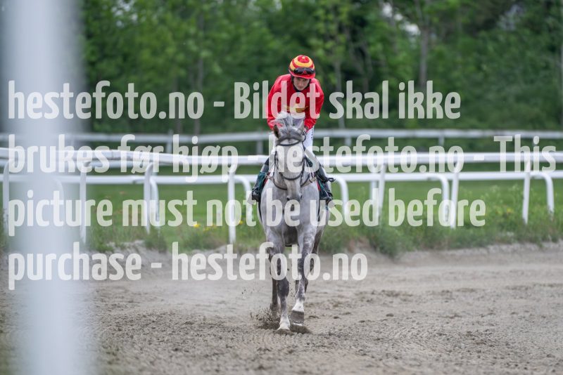 20240523-201557-DSC_9331
