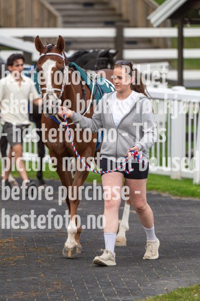 20240523-203448-DSC_6594