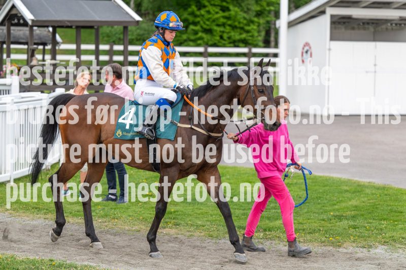 20240523-203814-DSC_6667