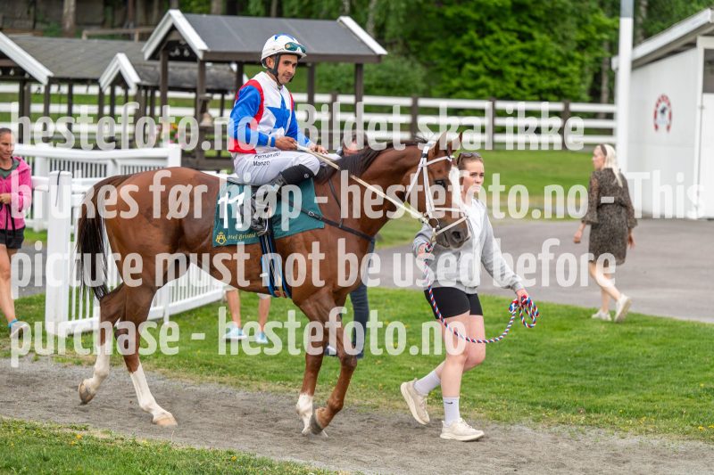 20240523-203827-DSC_6688