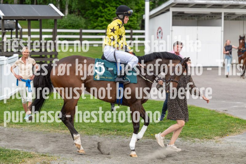 20240523-203901-DSC_6722