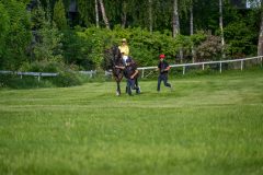 20240523-190728-DSC_8523