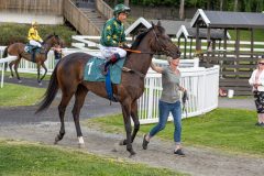 20240523-195007-DSC4708