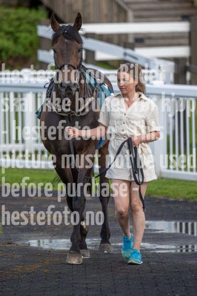20240605-190505-DSC6453
