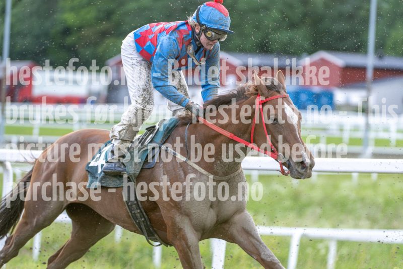 20240605-191719-DSC_3642