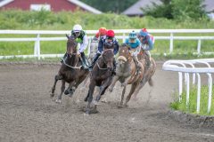 20240605-191713-DSC_3535