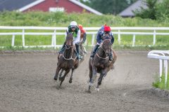 20240605-191713-DSC_3542