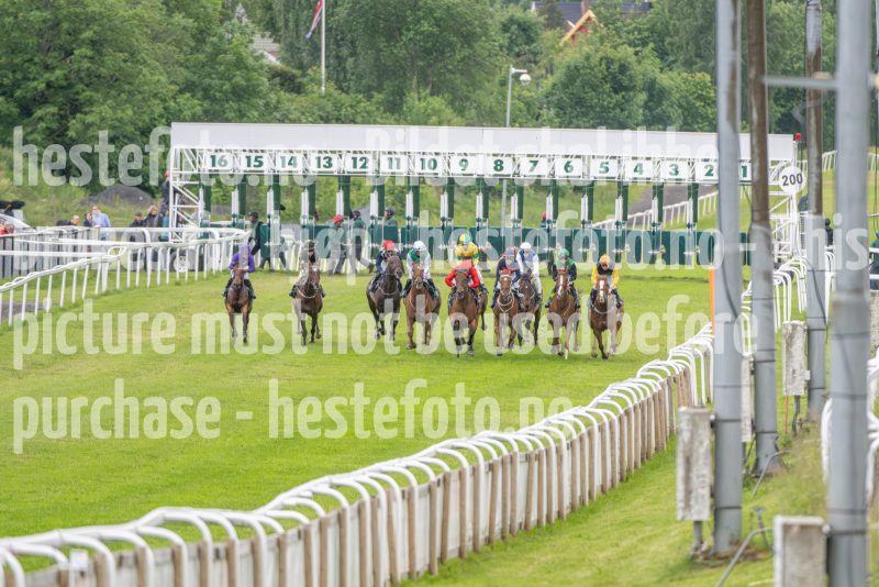 20240613-193519-DSC_6718