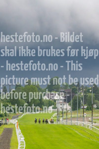 20240622-203836-DSC_3117