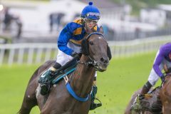 20240622-192357-DSC_1239
