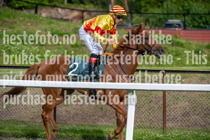 20240711-182027-DSC_7145