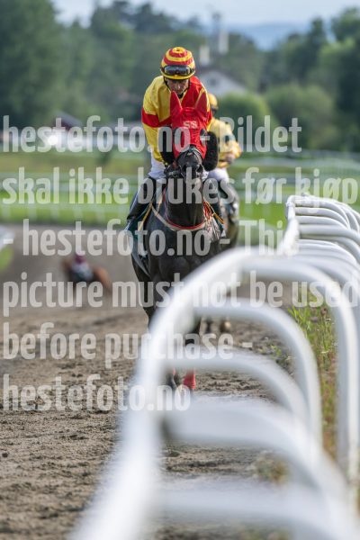 20240711-183747-DSC_7531