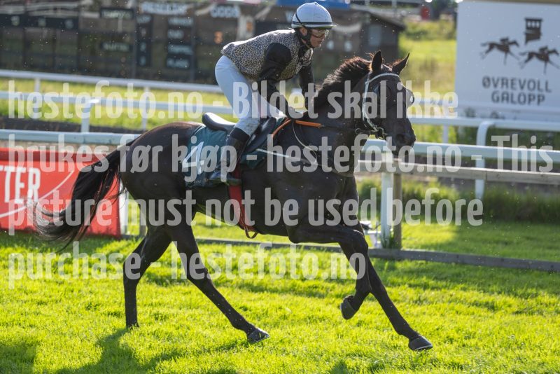 20240711-190841-DSC1775