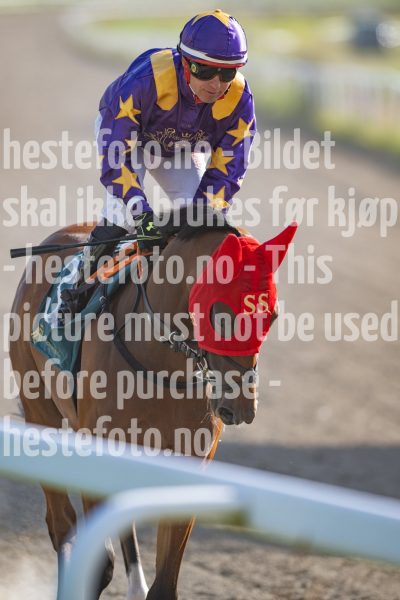 20240718-181321-DSC_8070
