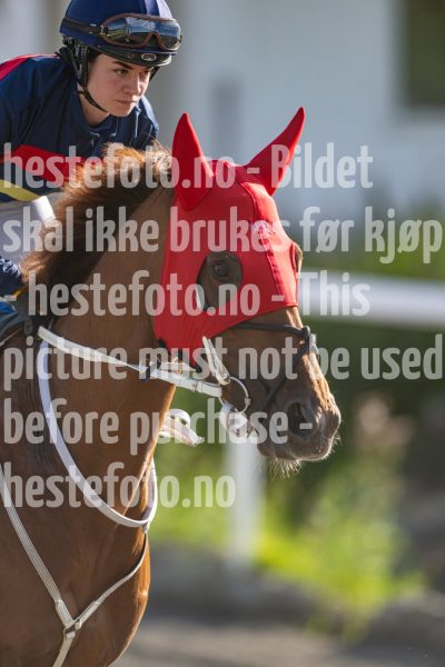 20240718-190037-DSC_9493