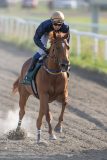 20240718-183632-DSC_8531