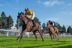 20240718-190856-DSC_5931