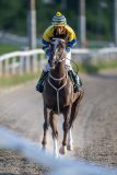 20240718-201623-DSC_2564