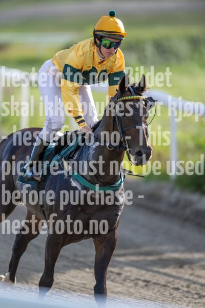 20240725-181229-DSC_8423