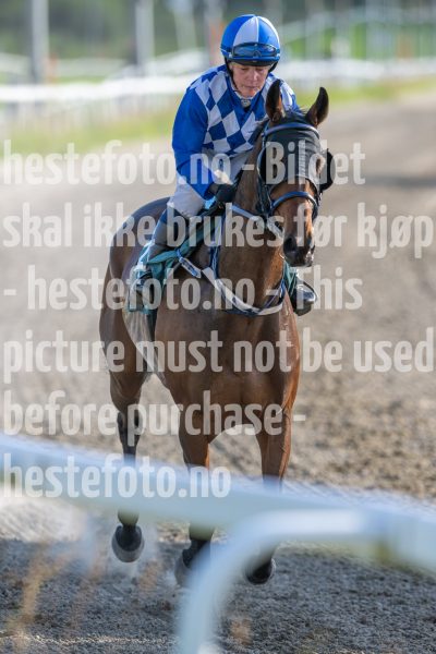 20240725-190051-DSC_0390