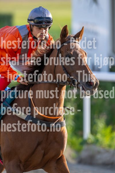 20240725-194812-DSC_2423