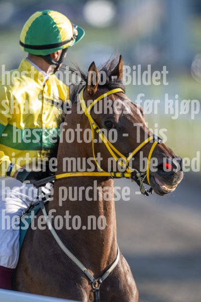 20240725-194843-DSC_2677