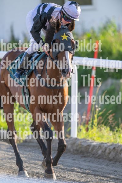 20240725-194848-DSC_2728