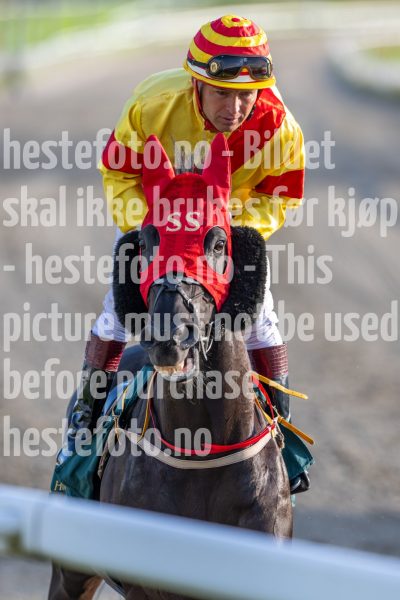 20240725-194917-DSC_2876