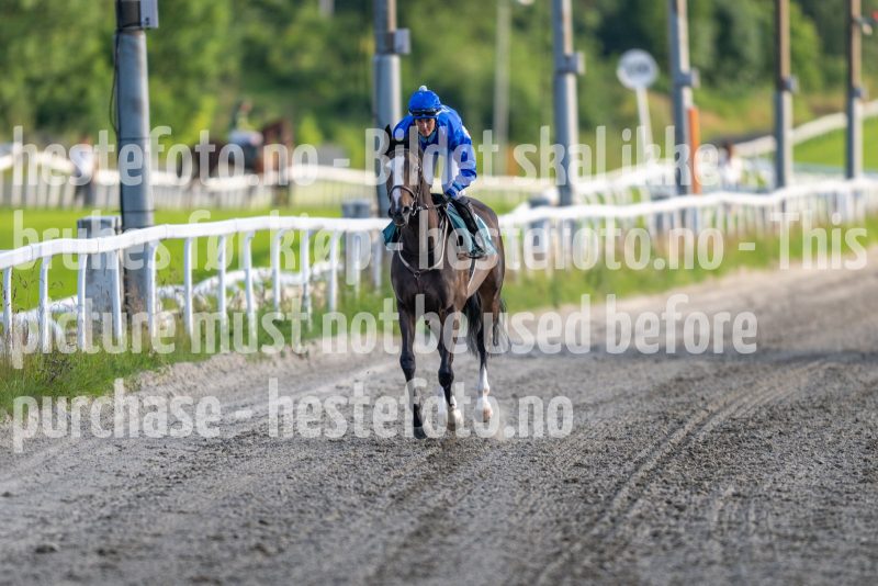 20240725-201446-DSC_3327