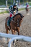 20240725-201558-DSC_3996
