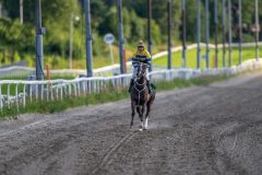 20240725-201629-DSC_4137
