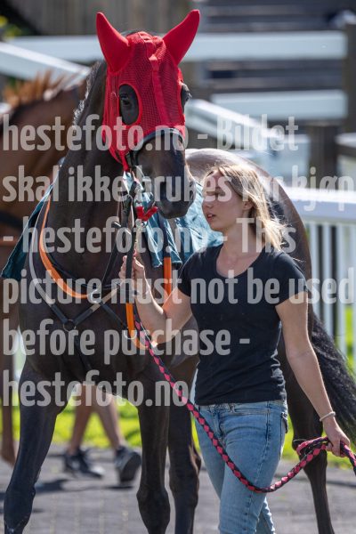 20240731-120458-DSC3908