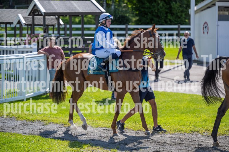 20240731-121630-DSC4025