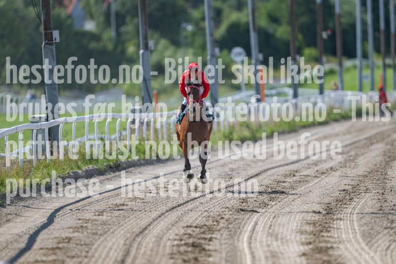 20240731-121711-DSC_5286