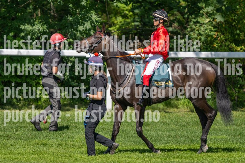 20240731-122218-DSC_5467