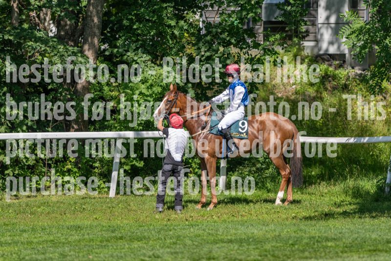 20240731-122306-DSC_5525