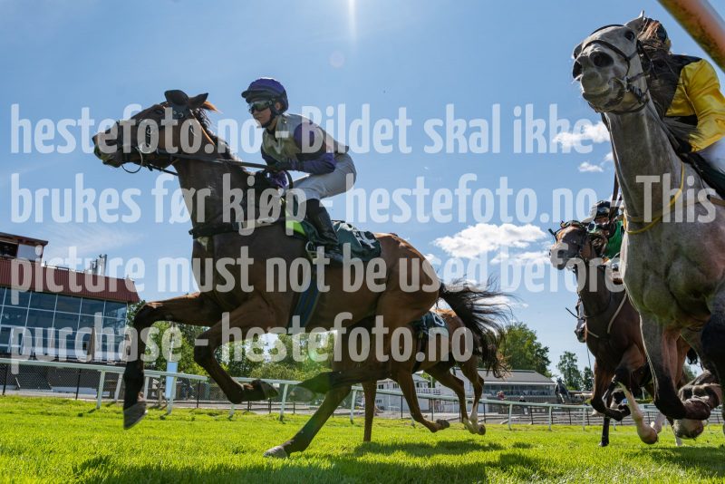 20240731-124642-DSC4169