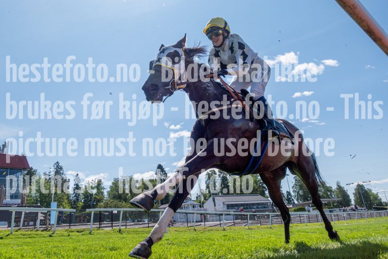 20240731-124652-DSC01368