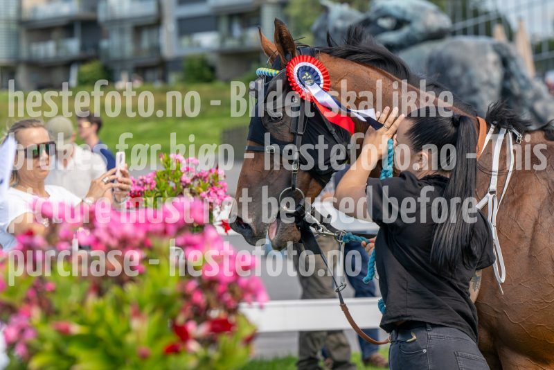 20240731-131921-DSC_7395