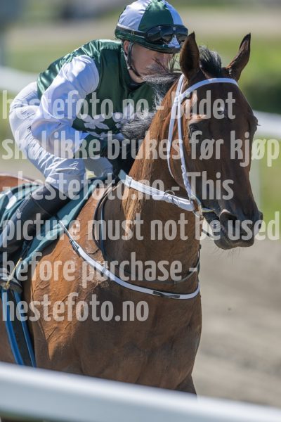 20240731-133236-DSC_7776