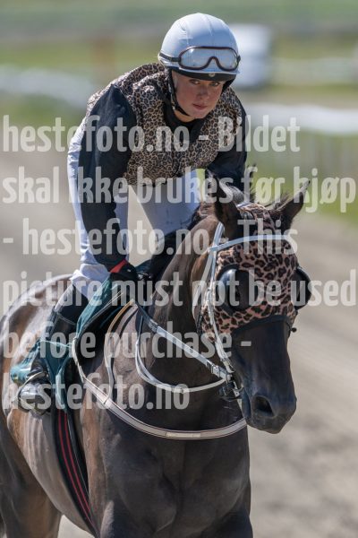 20240731-133301-DSC_7914