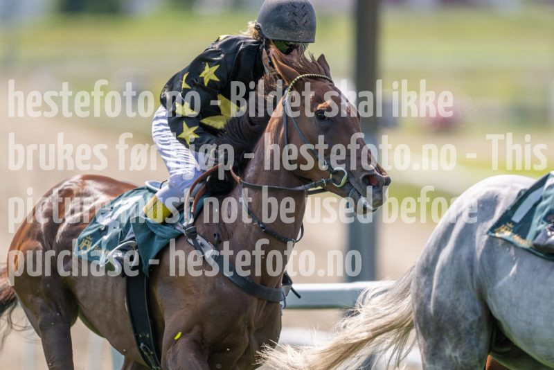 20240731-140223-DSC_8526