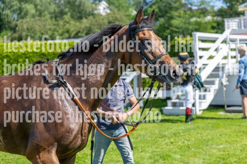 20240731-140726-DSC_8996
