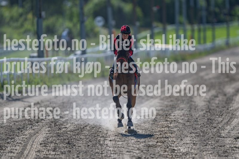 20240731-142150-DSC_9303