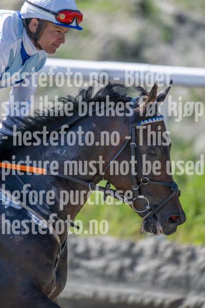 20240731-142231-DSC_9486