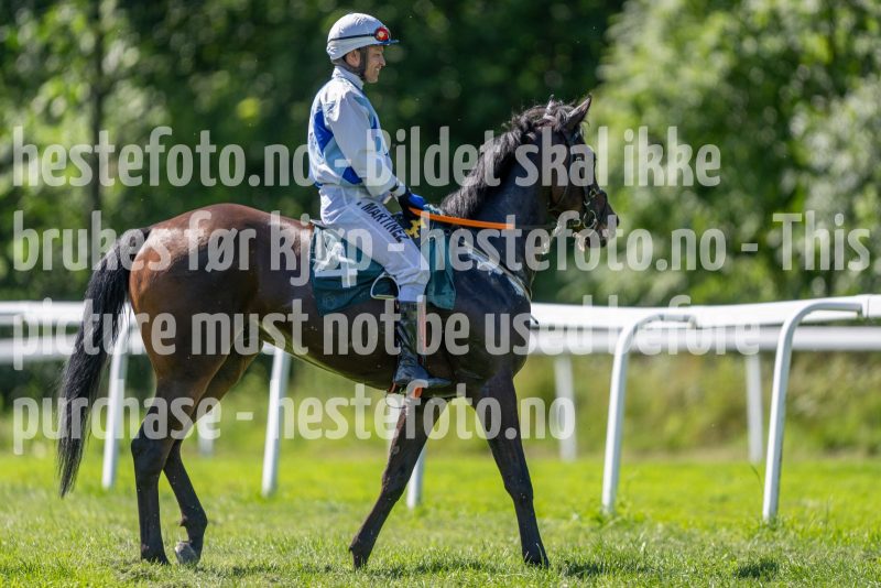 20240731-142425-DSC_9540
