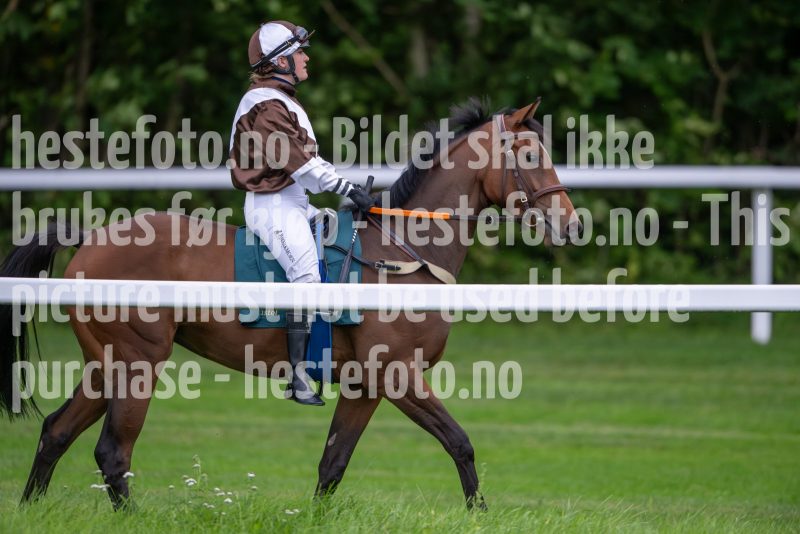 20240815-175101-DSC_2858