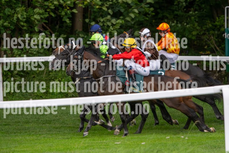 20240815-175430-DSC_3177