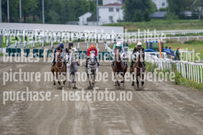 20240815-181659-DSC_3812